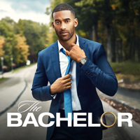 The Bachelor - Finale artwork