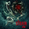 The Strain