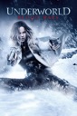 Affiche du film Underworld Blood Wars