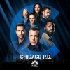 Chicago PD - Chicago PD, Season 9  artwork