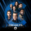 Chicago PD, Season 9 - Chicago PD Cover Art