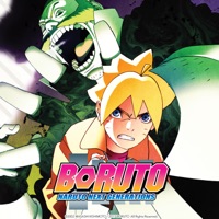 Boruto: Naruto Next Generations, Set 11 - The Mujina Gang (English)