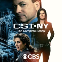 CSI: NY: The Complete Series