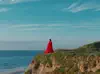 Let It All Burn