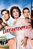Elefantenpfad - William Dieterle