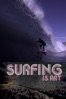 Poster för Surfing is Art