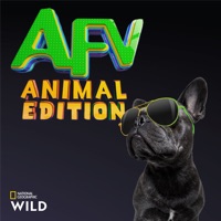 America's Funniest Videos: Animal Edition, Season 1