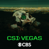 CSI: Vegas - Legacy  artwork