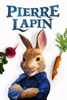 icone application Pierre Lapin