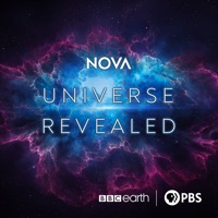 NOVA Universe Revealed