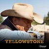 BEN  Yellowstone, Saison 1 (VOST)