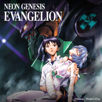 Finale: Take Care Of Yourself - NEON GENESIS EVANGELION [Complete Series] (English Language Version) Cover Art