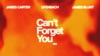 Can’t Forget You (feat. James Blunt) [Lyric Video] by James Carter & Ofenbach music video