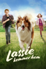 Lassie kommer hem - Hanno Olderdissen