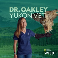 Dr. Oakley Yukon Vet, Season 11