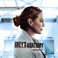 Grey's Anatomy, Saison 17 (VF)