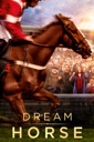 Affiche du film Dream Horse