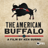 The American Buffalo: A Film by Ken Burns - The American Buffalo: A Film by Ken Burns, Season 1  artwork