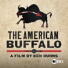 The American Buffalo: A Film by Ken Burns, Season 1 - The American Buffalo: A Film by Ken Burns