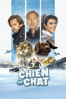 Chien & chat - Reem Kherici