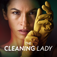 Full On Gangsta - The Cleaning Lady Cover Art