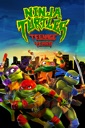 Affiche du film Ninja Turtles: Teenage Years