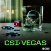 CSI: Vegas, Season 3 - CSI: Vegas Cover Art