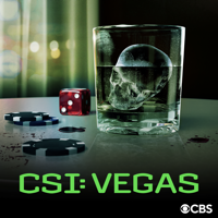 Heavy Metal - CSI: Vegas Cover Art