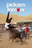 icone application jackass forever