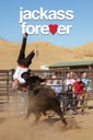 Affiche du film jackass forever