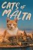 Cats of Malta - Sarah Jayne Portelli