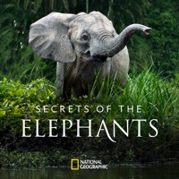 Secrets of the Elephants, Season 1