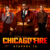 Chicago Fire, Season 12 (subtitled) - Chicago Fire