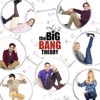 The Big Bang Theory