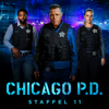 Chicago PD, Season 11 (subtitled) - Chicago PD