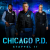 Safe Harbor - Chicago PD