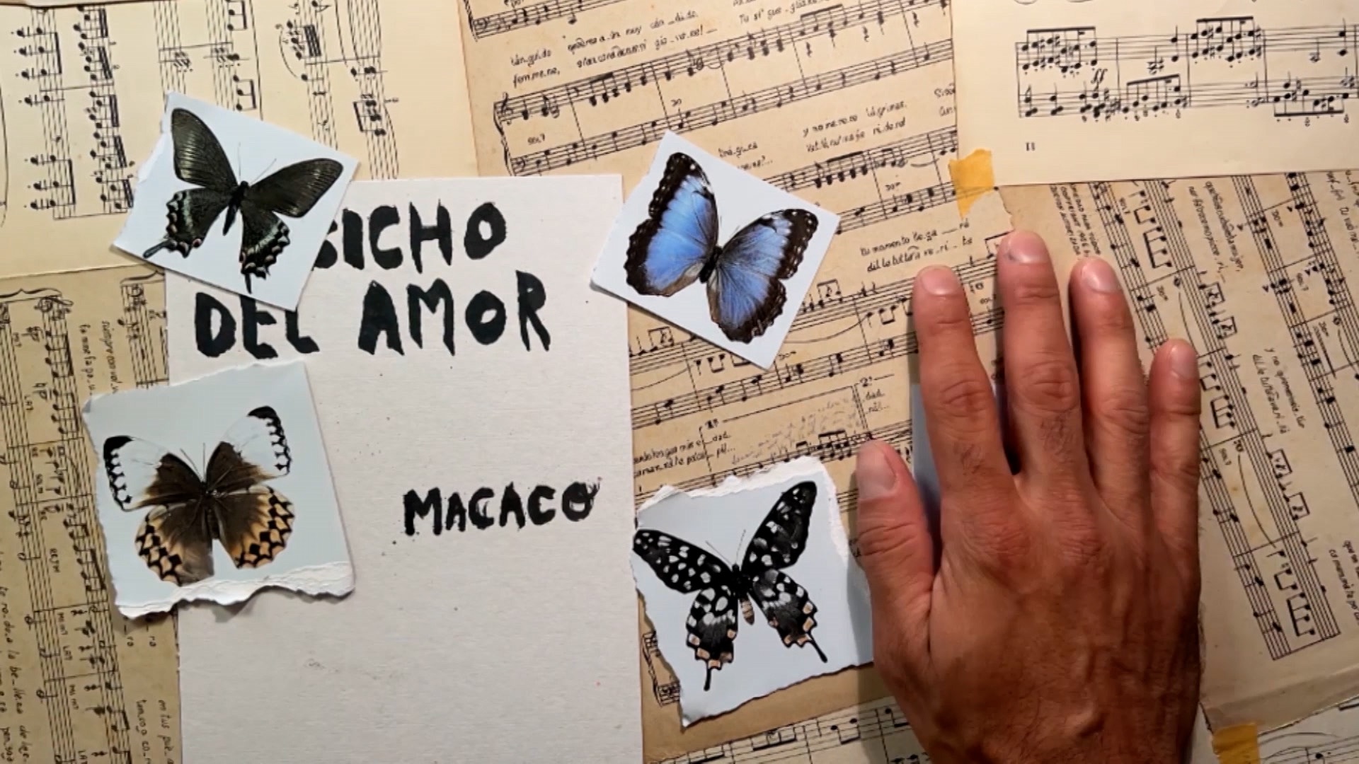 El Bicho del Amor (Lyric Video), image size:1920x1080