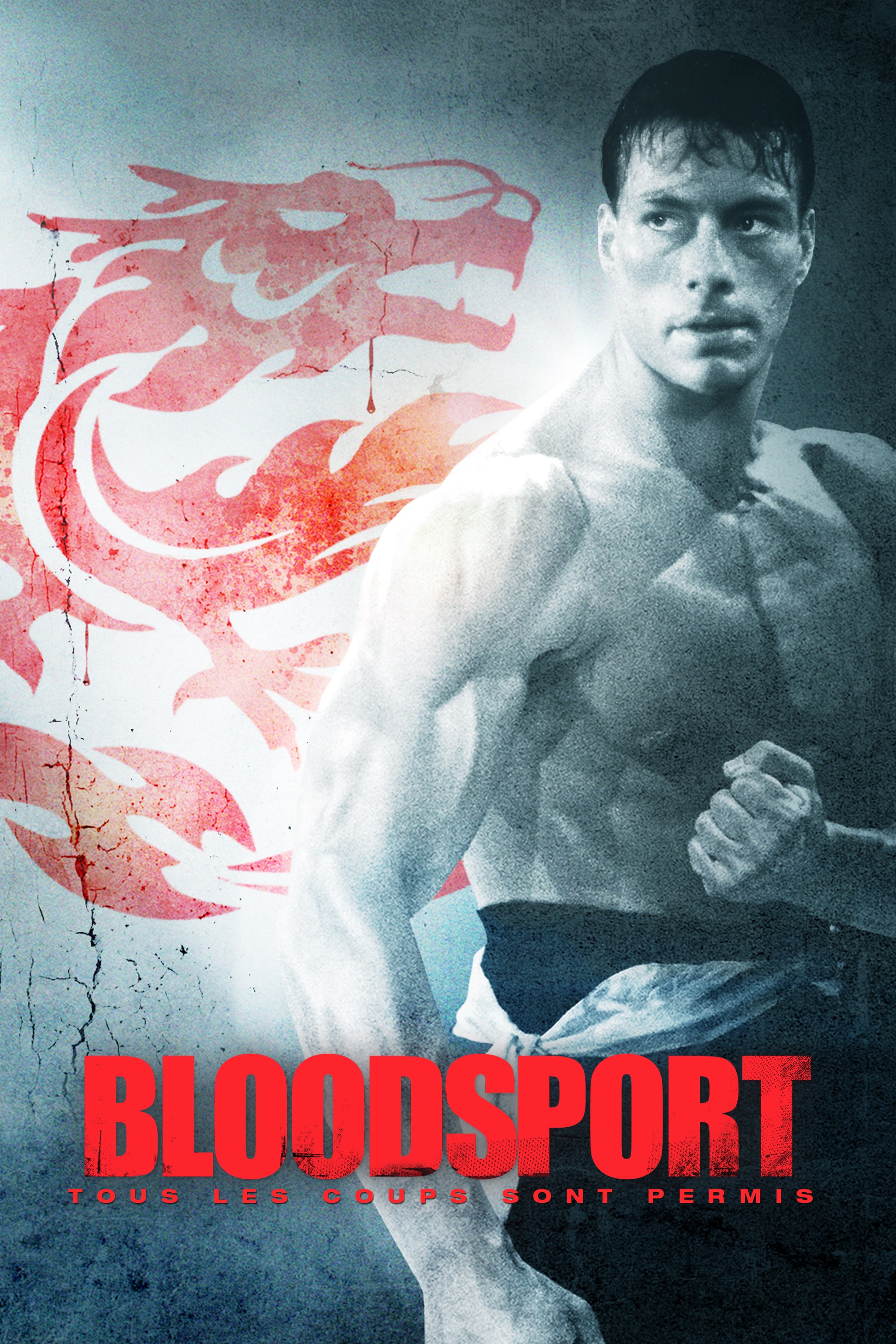 BLOODSPORT, TOUS LES COUPS SONT PERMIS