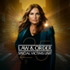 Law &amp; Order: Special Victims Unit, Season 25 - Law &amp; Order: Special Victims Unit Cover Art