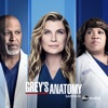 BEN  Grey's Anatomy, Saison 18 (VF)