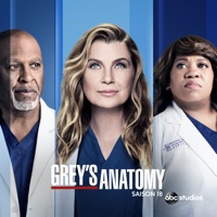 Télécharger Grey's Anatomy, Saison 18 (VF) Episode 15