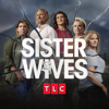 Sister Wives - When the Going Gets Tough  artwork