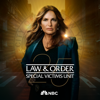 Law & Order: Special Victims Unit, Season 25 - Law & Order: Special Victims Unit