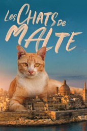 Les chats de Malte