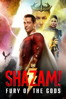 Shazam! Fury Of The Gods - David F. Sandberg