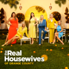The Real Housewives of Orange County, Season 17 - The Real Housewives of Orange County new Single