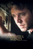 A Beautiful Mind