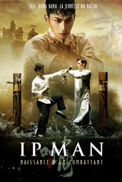 IP Man : Naissance d'un combattant