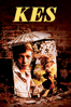 Kes - Ken Loach