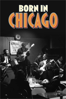 Born in Chicago - John Anderson & Bob Sarles